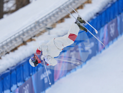 Milan Cortina Olympics Freestyle Skiing