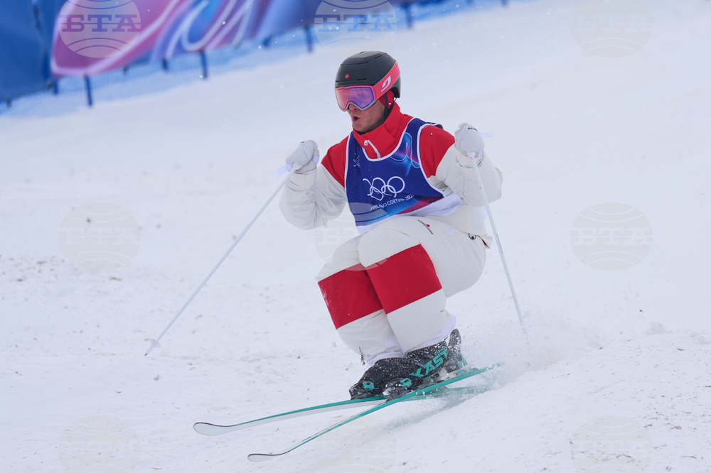 Milan Cortina Olympics Freestyle Skiing