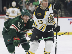 Bruins Wild Hockey