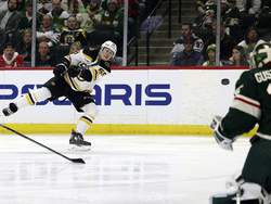 Bruins Wild Hockey