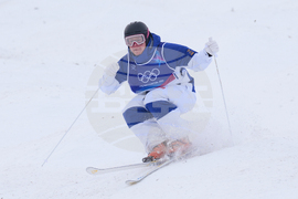 Milan Cortina Olympics Freestyle Skiing