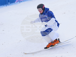 Milan Cortina Olympics Freestyle Skiing