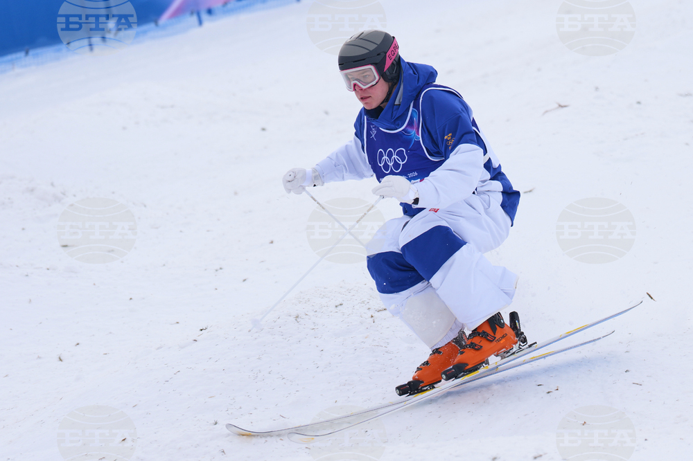 Milan Cortina Olympics Freestyle Skiing
