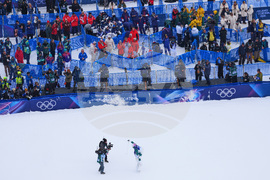 Milan Cortina Olympics Freestyle Skiing