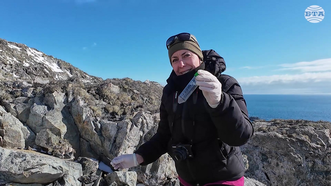 Microbiologist Rusinova-Videva: Antarctic Yeasts Produce Unique Compounds with Anticancer Activity