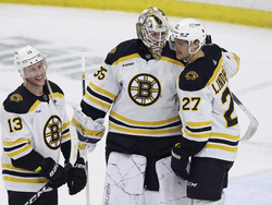 Bruins Wild Hockey