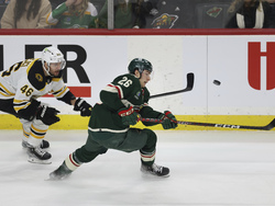 Bruins Wild Hockey