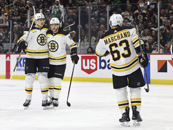 Bruins Wild Hockey