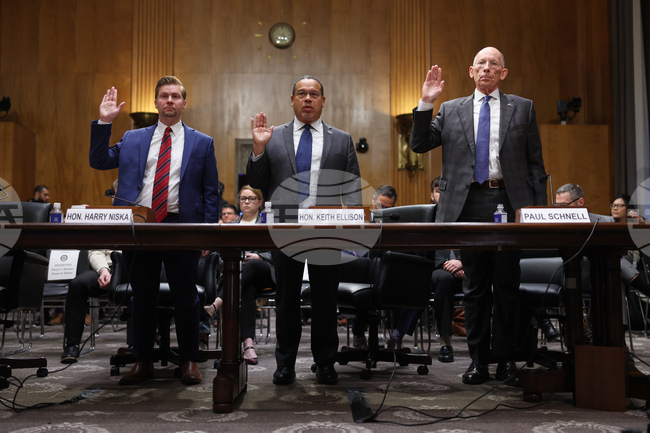 Congress Homeland Security