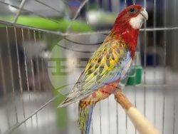 Снимка: Община Стара Загора 