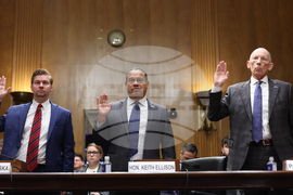 Congress Homeland Security