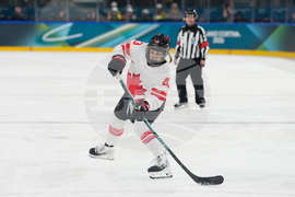 Milan Cortina Olympics Ice Hockey