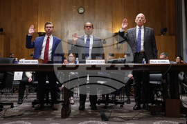 APTOPIX Congress Homeland Security