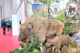 Румъния - Букурещ - България участва в международно туристическо изложение