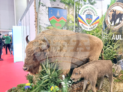 Румъния - Букурещ - България участва в международно туристическо изложение