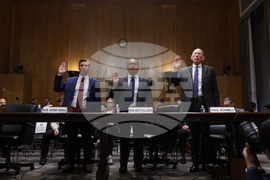 Congress Homeland Security