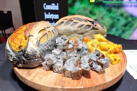 Румъния - Букурещ - България участва в международно туристическо изложение