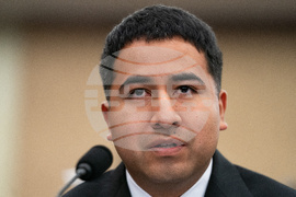 Congress Homeland Security