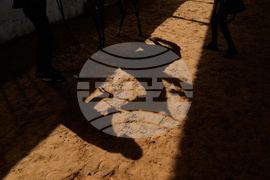 Israel Palestinians Arabian Horses