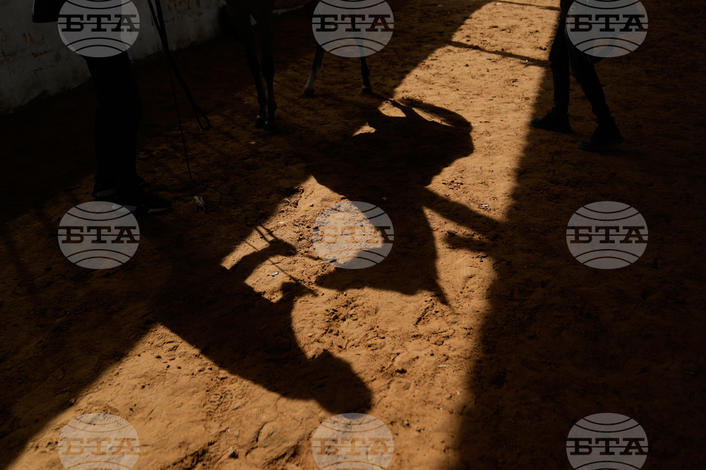 Israel Palestinians Arabian Horses