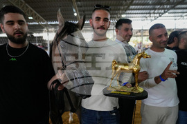 Israel Palestinians Arabian Horses