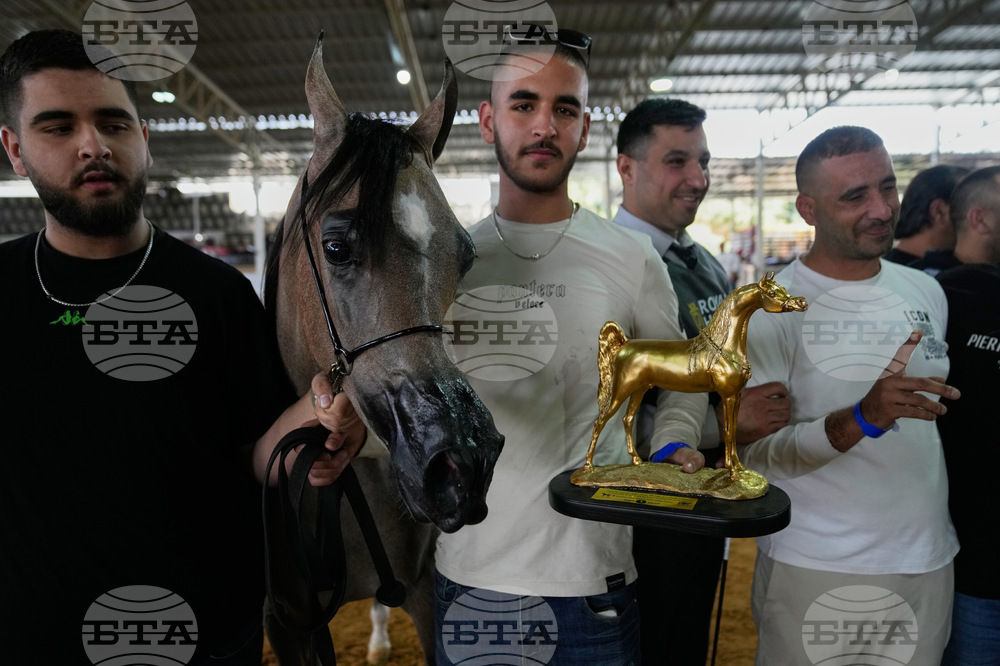 Israel Palestinians Arabian Horses