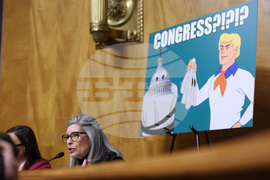 Congress Homeland Security