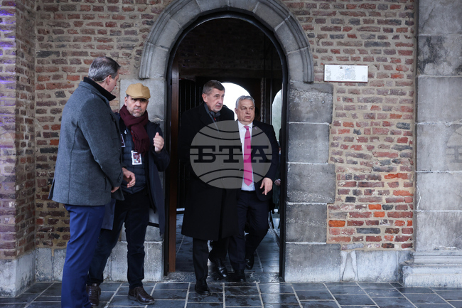 Чешкият премиер Бабиш подкрепи Орбан преди изборите 