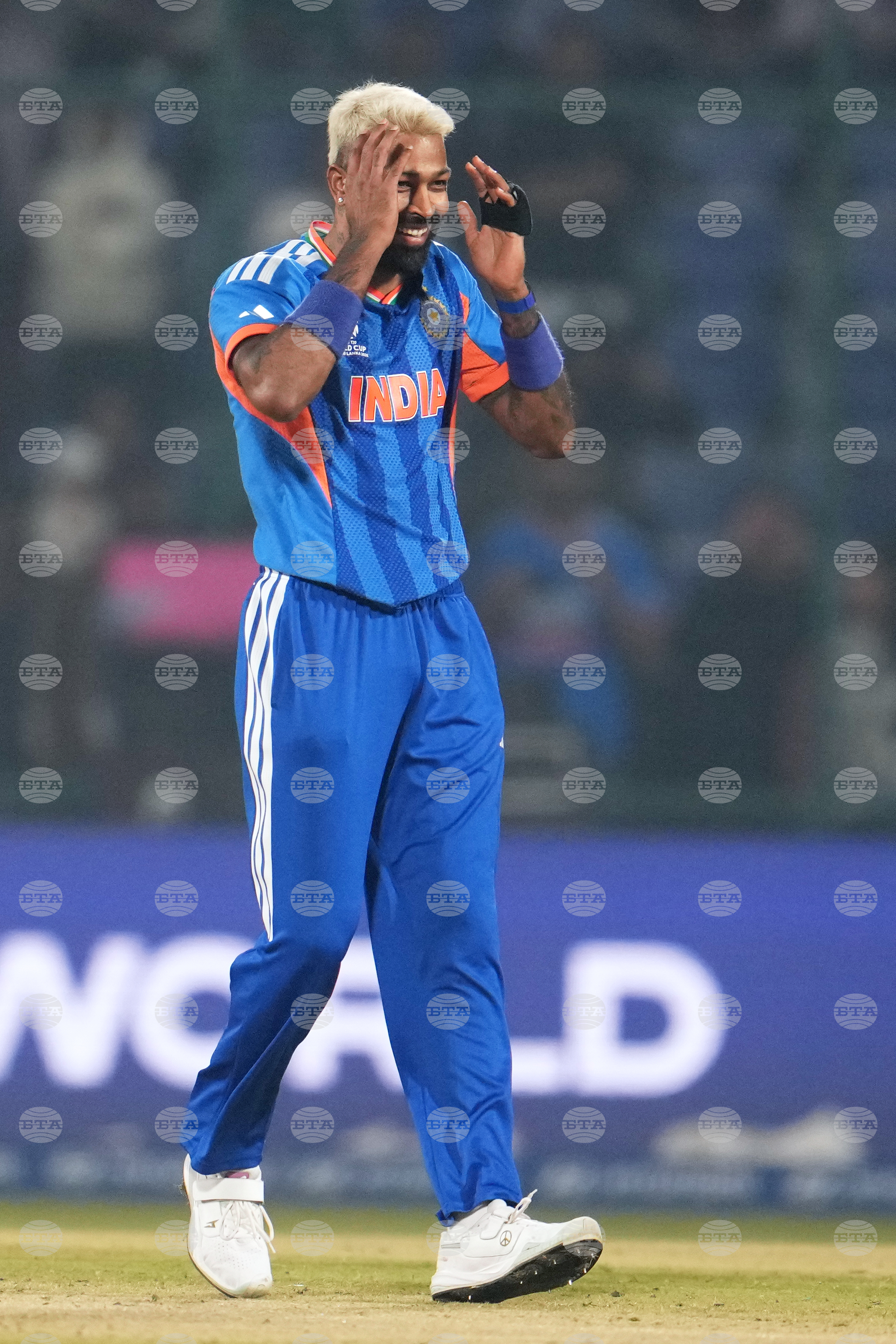 India Namibia T20 WCup Cricket