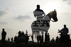 Yemen Horse Race