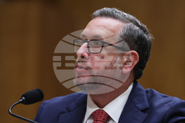 Congress Homeland Security