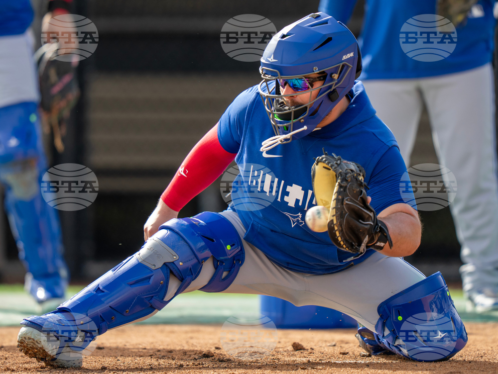 Blue Jays Spring Baseball