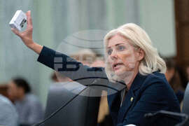 Congress Washington Midair Collision