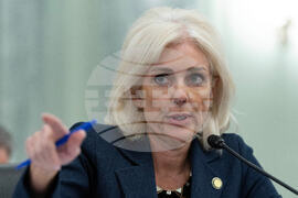 Congress Washington Midair Collision