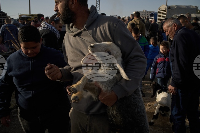 APTOPIX Palestinians Livestock Market