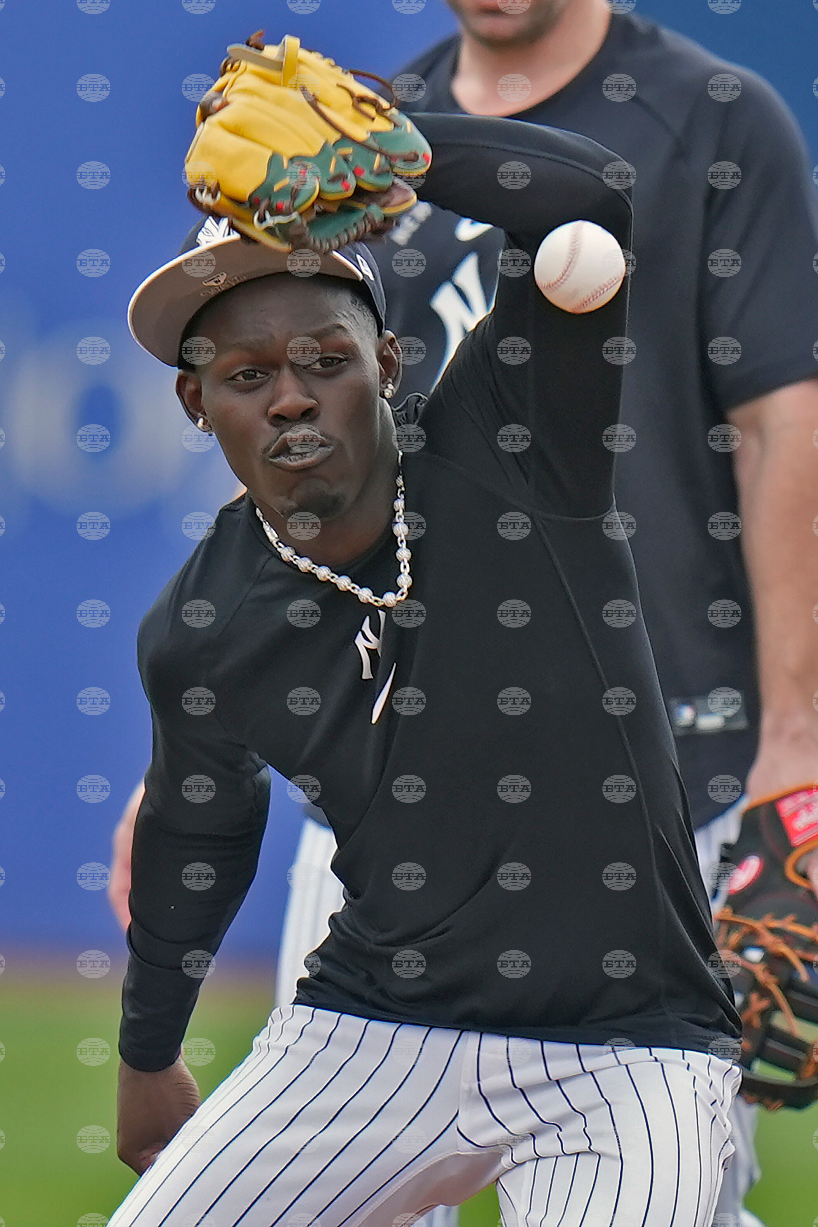 Yankees Spring Baseball