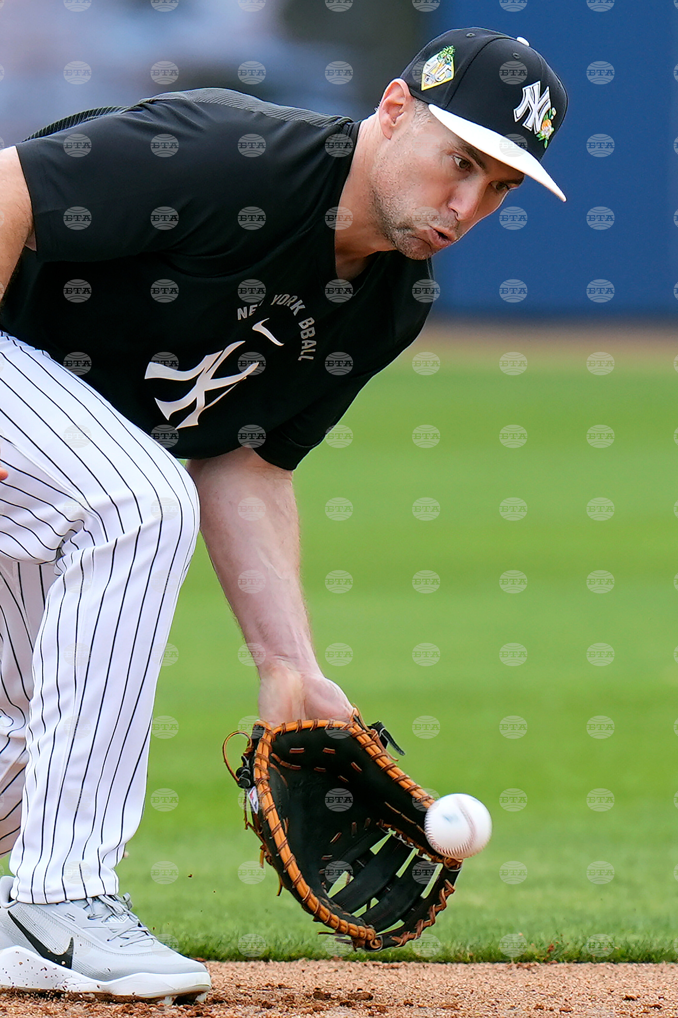 Yankees Spring Baseball