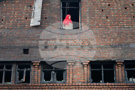 Pictures of the Week Global Photo Gallery