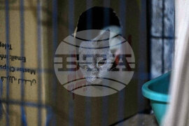 Pictures of the Week Global Photo Gallery