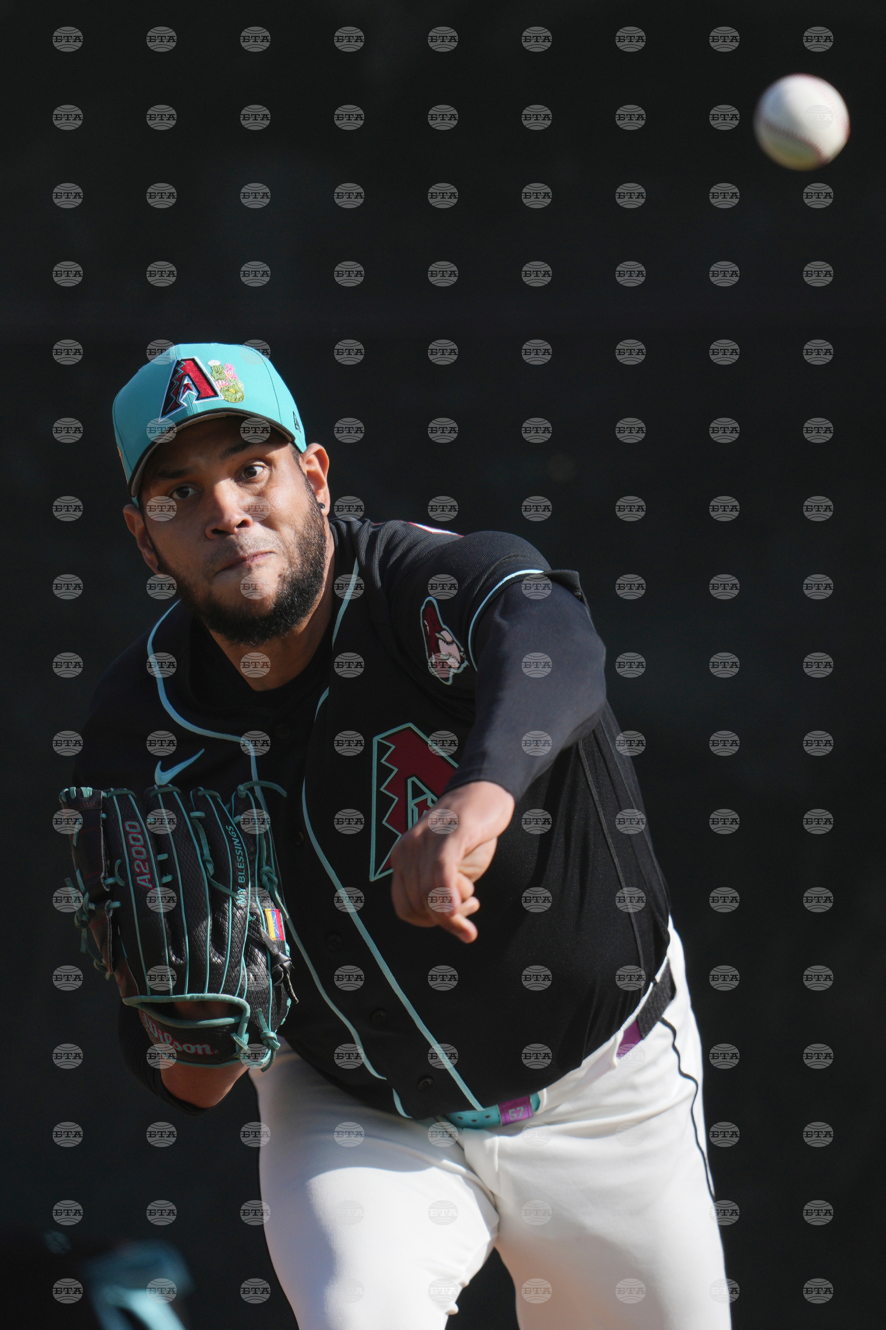 Diamondbacks Spring Baseball