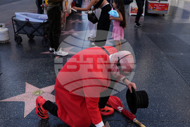 Trump Star Walk of Fame
