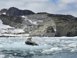 Антарктида - 34-та българска антарктическа експедиция - последна група участници - посрещане