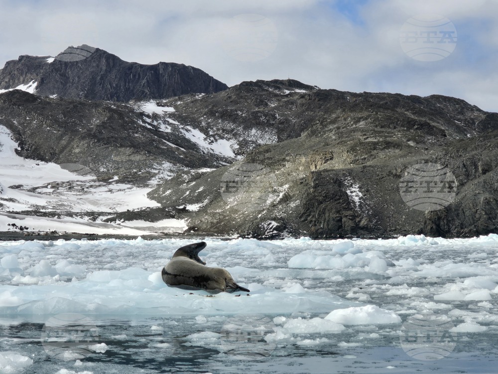 Final Group of 34th Bulgarian Antarctic Expedition Arrives on Livingston Island