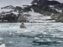 Антарктида - 34-та българска антарктическа експедиция - последна група участници - посрещане