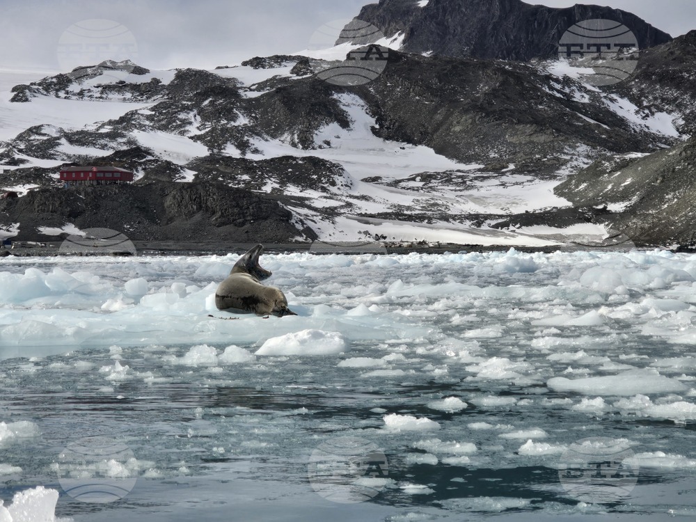Антарктида - 34-та българска антарктическа експедиция - последна група участници - посрещане