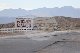 Nevada Sex Workers Unionizing