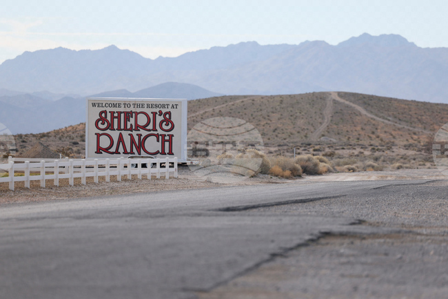 Nevada Sex Workers Unionizing