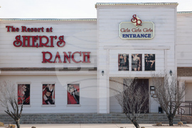 Nevada Sex Workers Unionizing