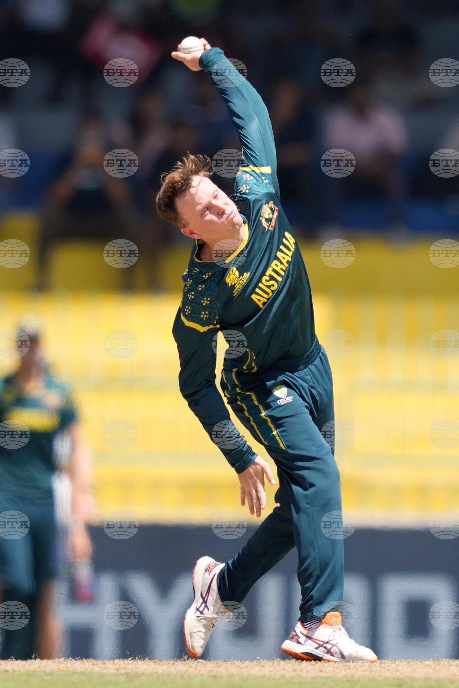 Australia Zimbabwe T20 WCup Cricket