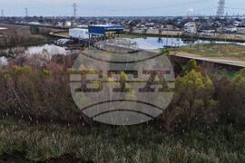 Climate Wetland Restoration Tree Planting